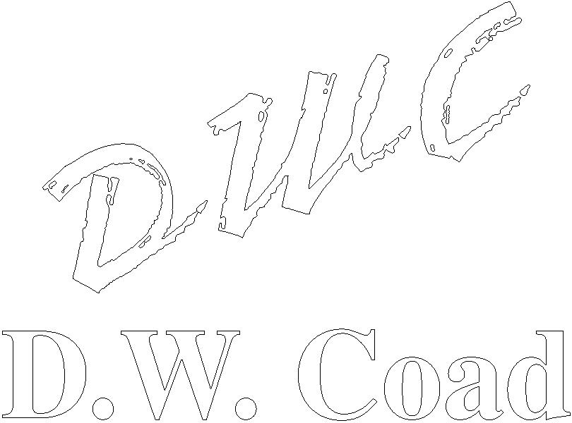 D.W.Coad Financial Services Inc.