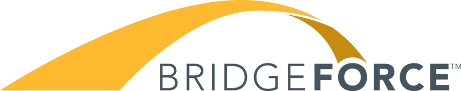 BridgeForce Financial